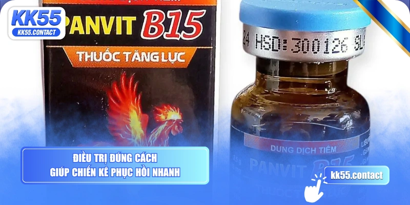 Điều trị đúng cách giúp chiến kê phục hồi nhanh